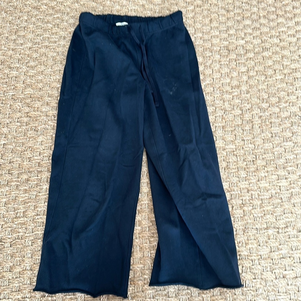 Splendid French Terry sweatpants